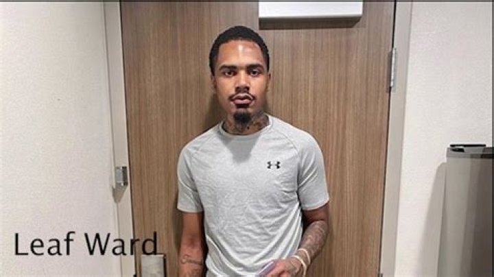 Unveiling The Secrets Of Leaf Ward Age: A Journey Of Discovery