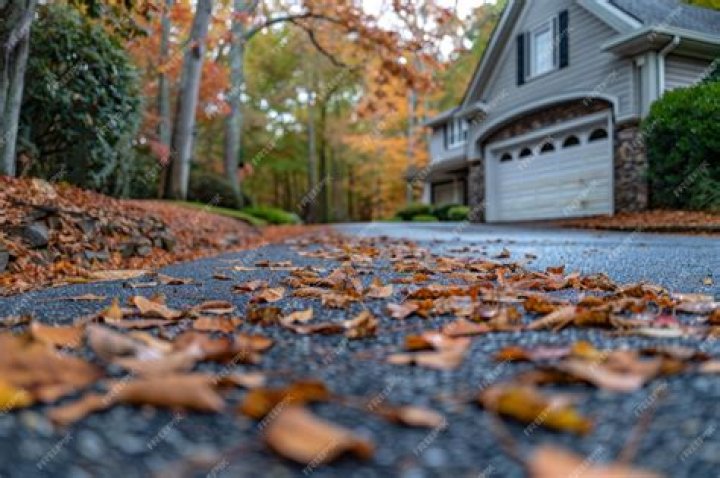 Fall Leaf Cleanup: Removing Leaves From Driveway Easily