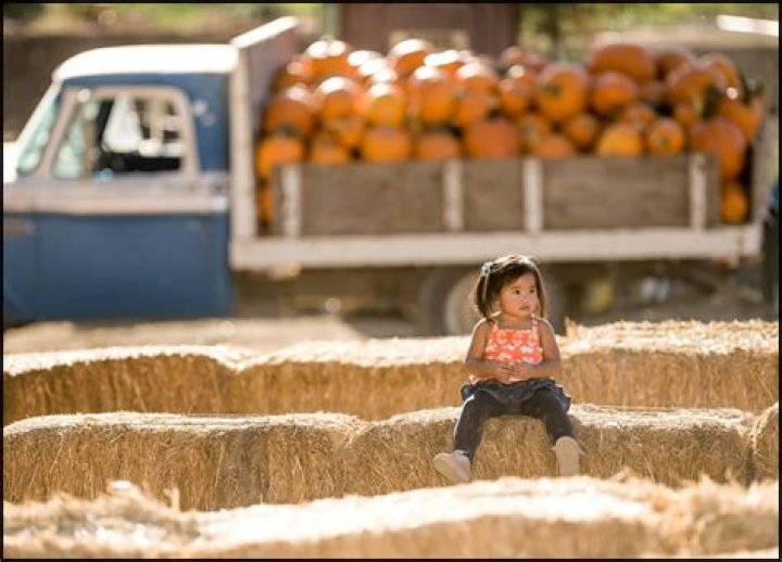 Stunning Lombardi Ranch: Unforgettable Photography