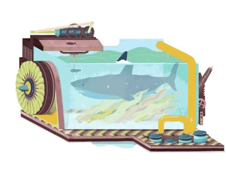 The Ultimate Guide To Preventative Loop Shark Measures