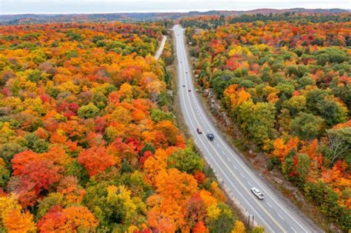 Discover The Enchanting Maple Road: A Canadian Treasure