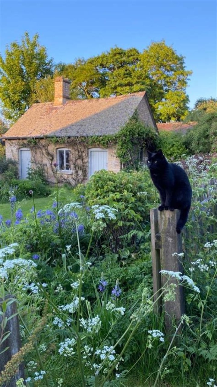 Simplify Your Life With Marie Kondo's Tumblr Tips