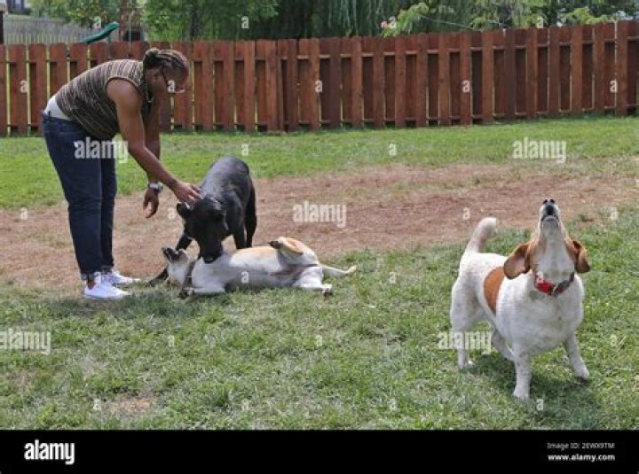 Maritha Hunter-Butler: The Trailblazing Advocate