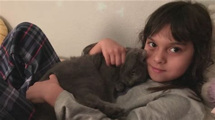 Discover The Enchanting Meadow Goodman: An Artist Of Nature And Dreams