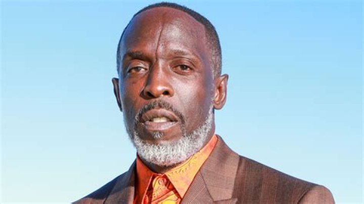 The Unforgettable LGBTQ Legacy Of Michael K. Williams In 