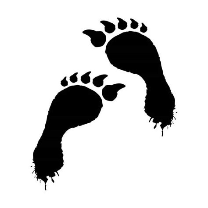 Monster Footprints Clipart: Download Free Graphics