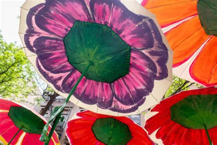 Unlock The Floral Splendor Of Montague Street