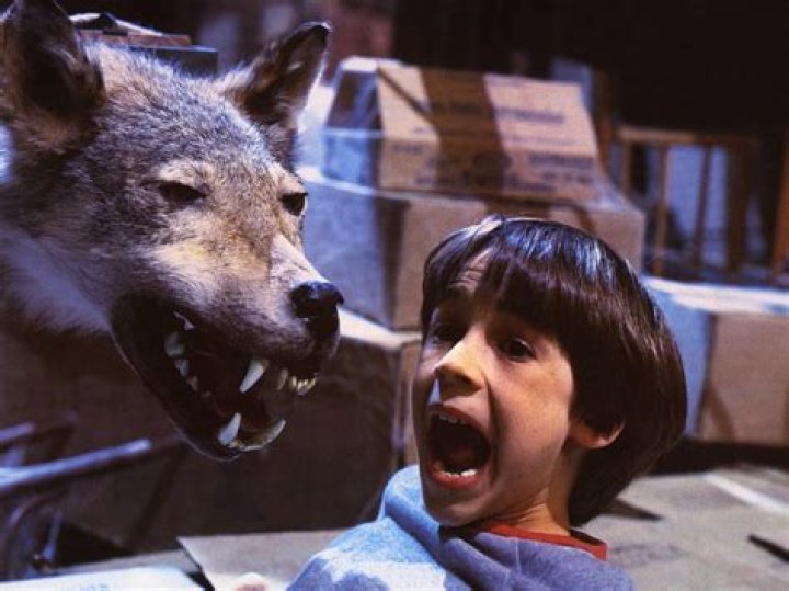 Exploring The Enchanting World Of Movies Starring Barret Oliver