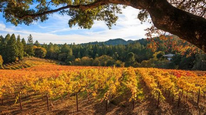 Unforgettable Fall Getaway To Napa Valley