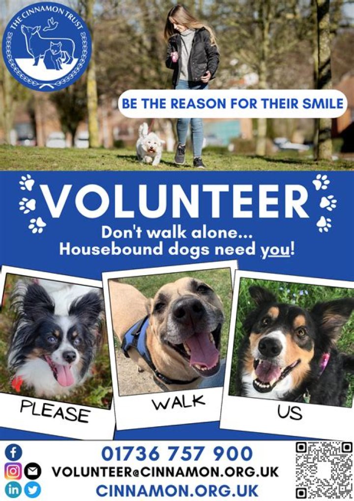 Doggone Good Tips For Fulfilling Your Dog's Needs