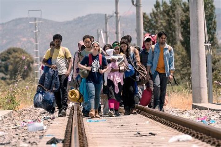 A Tale Of Resilience And Family In The Face Of Adversity