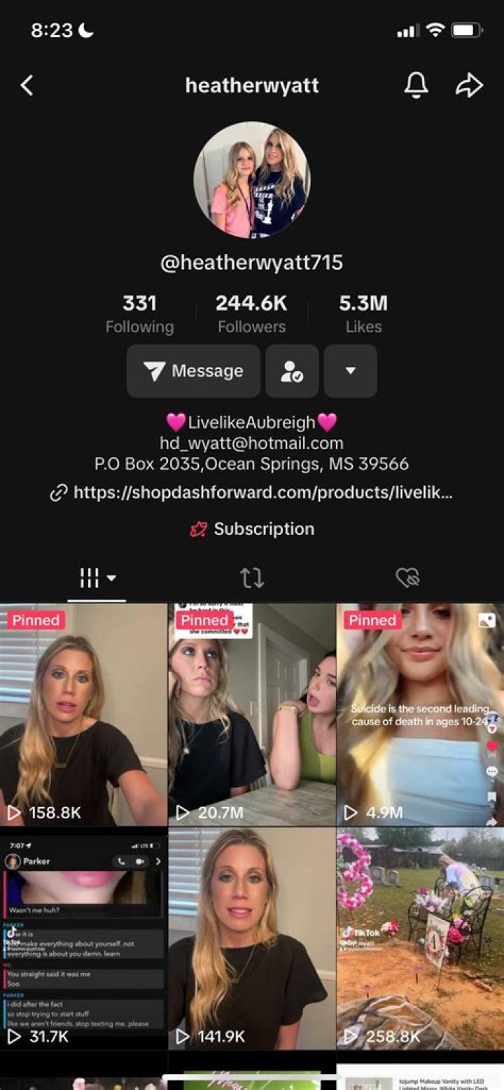 The Noblitt Bully: A Dog Breed For The Discriminating Owner