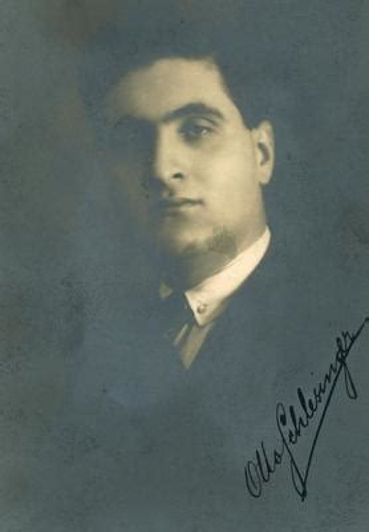 Know More About Otto Schlesinger: The Visionary Leader