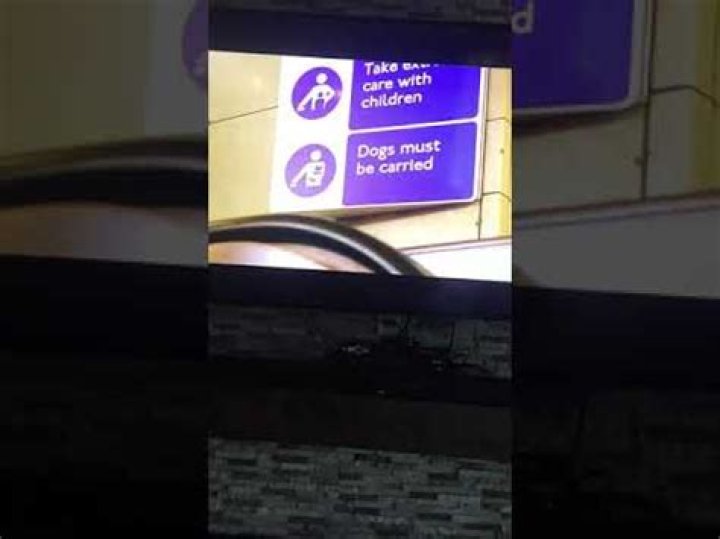 Comprehensive Guide To The Paddington Escalator