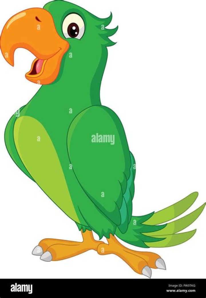The Ultimate Guide To Adorable Parrot Cartoons