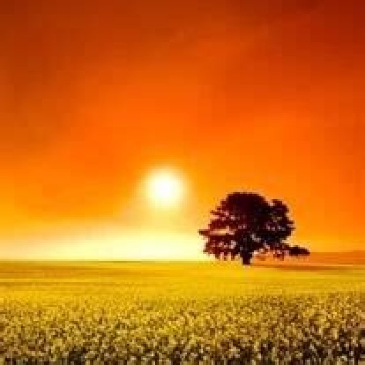 Remembering Patrick Giblin: A Cherished Life Remembered