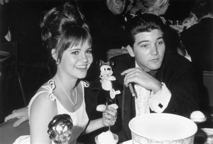 Discover Paul Peterson's Net Worth And Wealth | Detailed Analysis