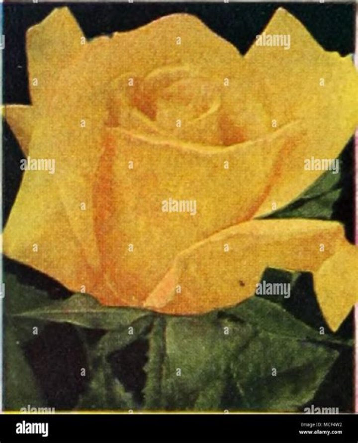 Pembroke Thom: A Renowned Architect With A Legacy Of Iconic Designs