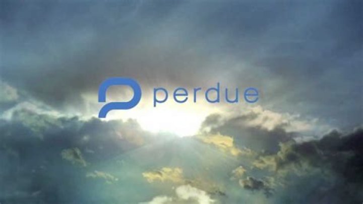 Discover Perdue Insights: The Ultimate Guide For Industry Leaders