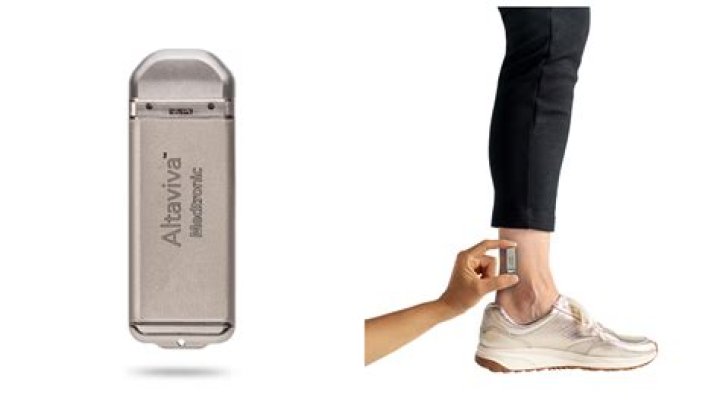 A Guide To Phyllis Briskin's Enduring Legacy In Education