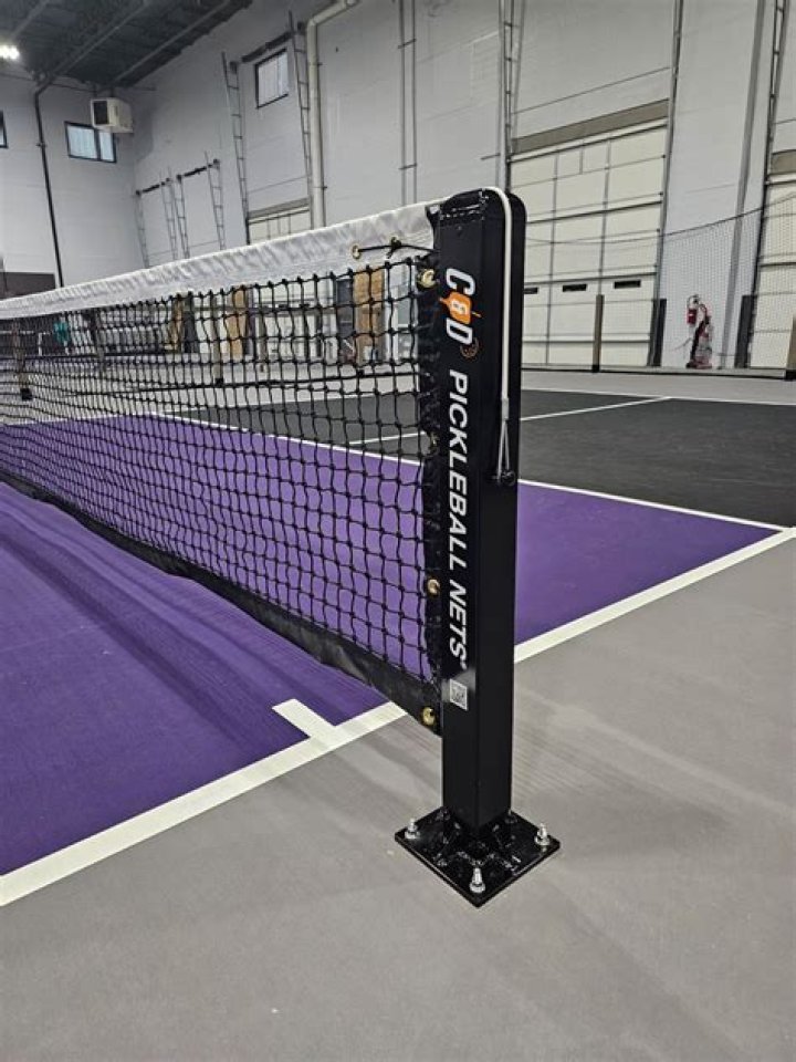 Latest Buzz On The Pickleball Scene: Exclusive News And Insights