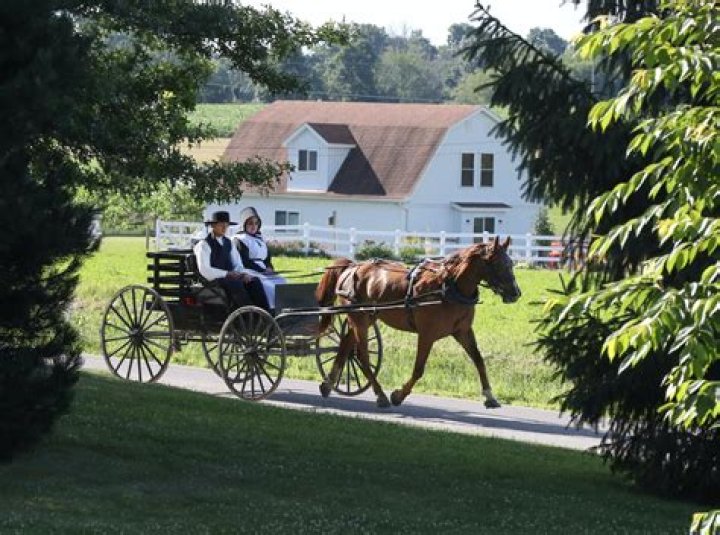 Inside The Sacred Rituals: Exploring Photos Of Amish Funerals
