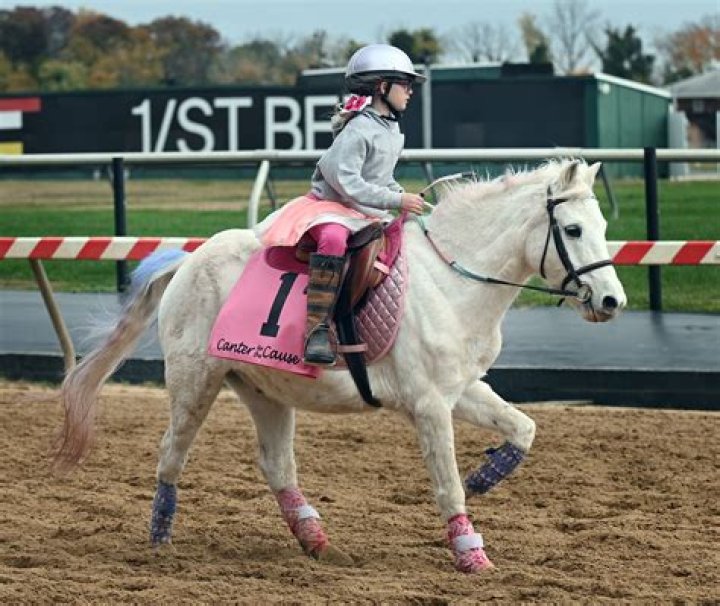 The Best Pimlico Track Photographer: Capture Your Racing Moments