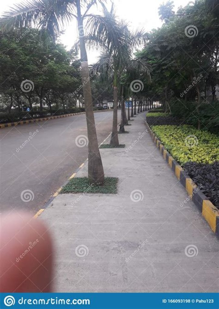 The Ultimate Guide To Pindrop Stock | Expert Insights And Analysis