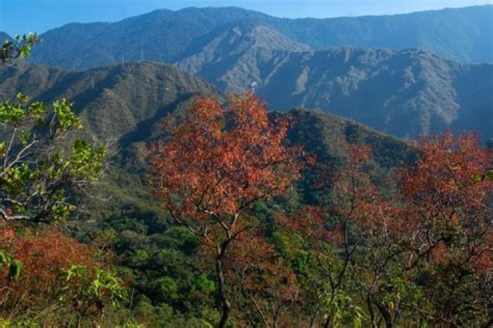 The Ultimate Guide To Exploring The Wonders Of Pittier National Park