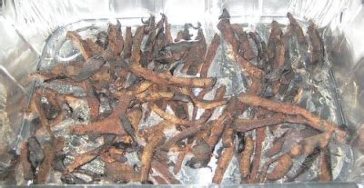 The Ultimate Guide To Placenta Jerky: A Unique And Delectable Delicacy