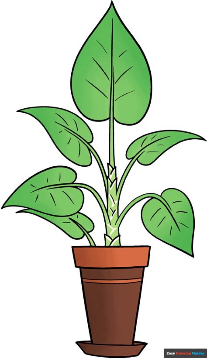 The Ultimate Guide To Plant Image Drawing: Techniques, Tips, And Inspiration