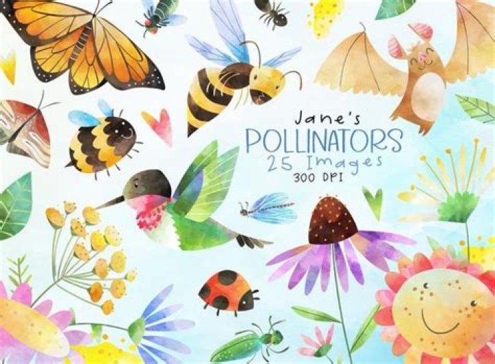 Essential Pollinator Clip Art For Your Nature Projects