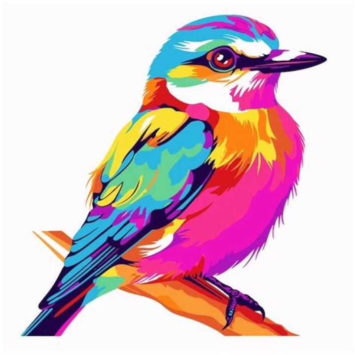 A Vibrant Journey Into The World Of Pop Art Birds