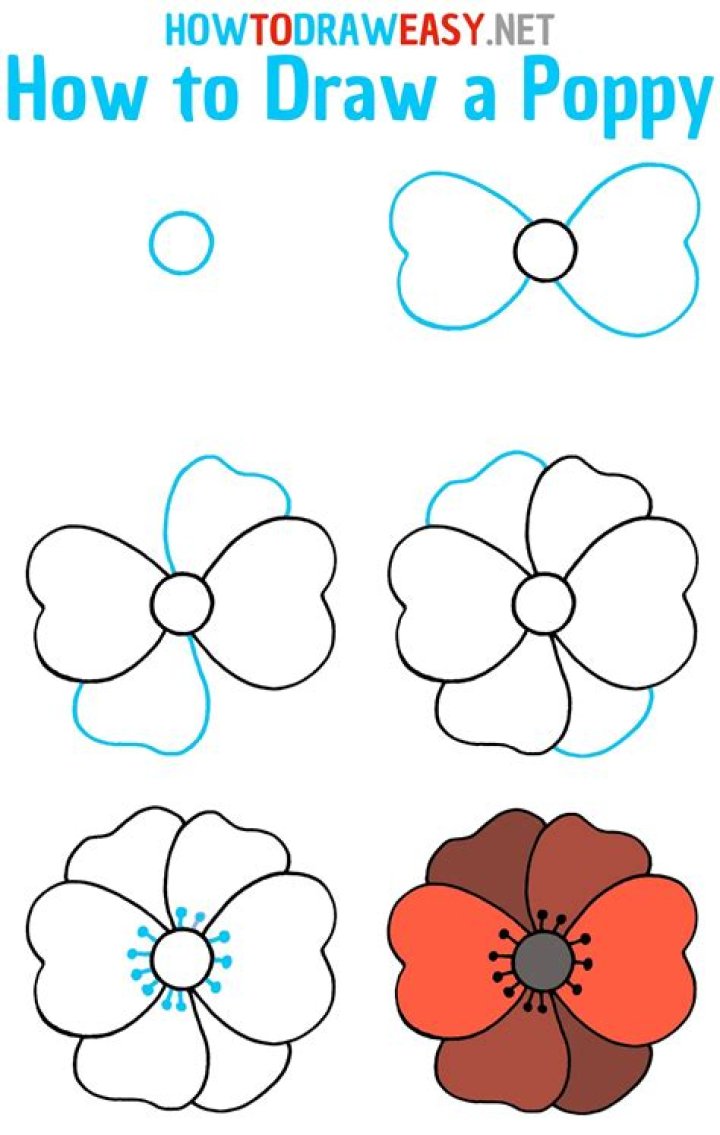 Elegant Poppy Flower Design: A Guide To Simplicity