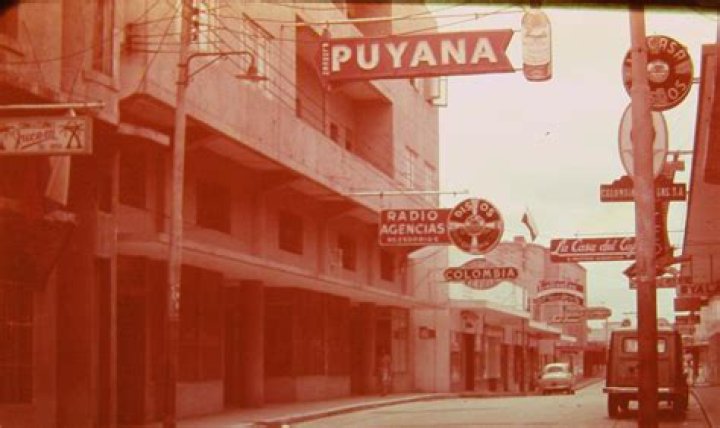 Discover The Enchanting Puyana Barranquilla Botanical Garden