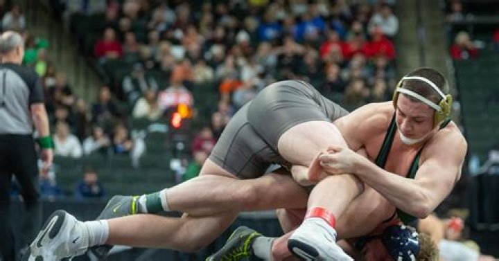 The Ultimate Guide To Quin Morgan: Everything You Need To Know