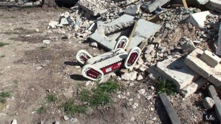 Affordable Quince Robots: Get The Best Prices Here