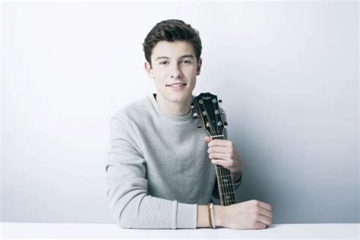 Discover The Ultimate Guide To Shawn Mendes On His Wiki