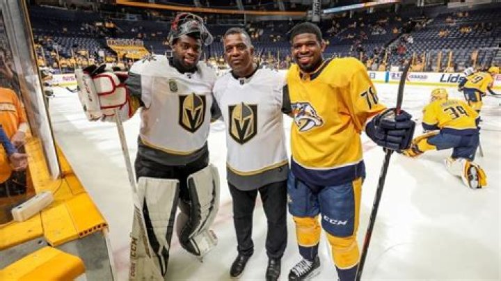Top 5 Amazing Subban Hockey Brothers Ranked By Fans