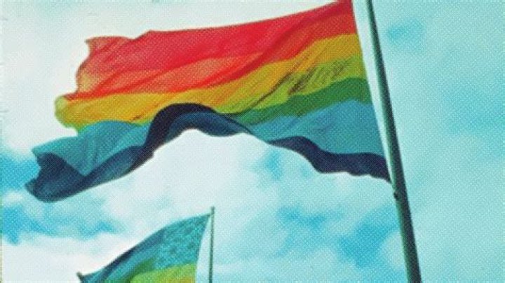 Rediscovered: The Original Pride Flag Returns Home