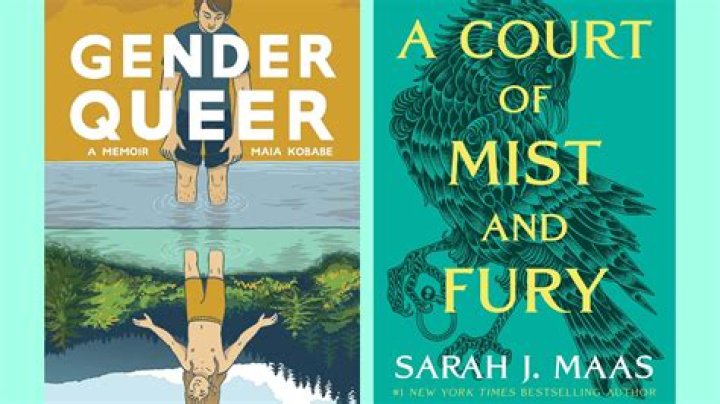 The Right's Ongoing Assault On YA Literature: New Lawsuits Emerge