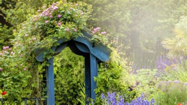 We're Gardening Experts - these are our top trends we predict will be big in 2024