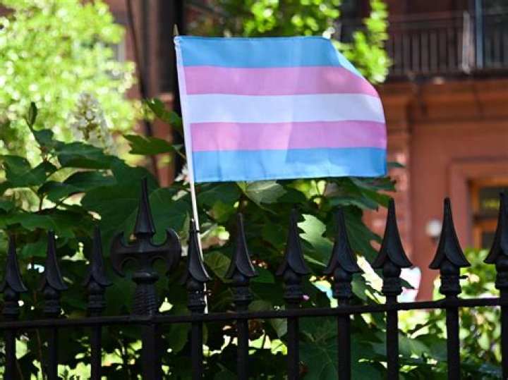 Trans Youth In Florida: Potential Ban On Transition Care