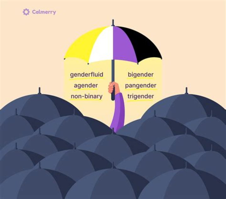 The Meaning Of Nonbinary Identities