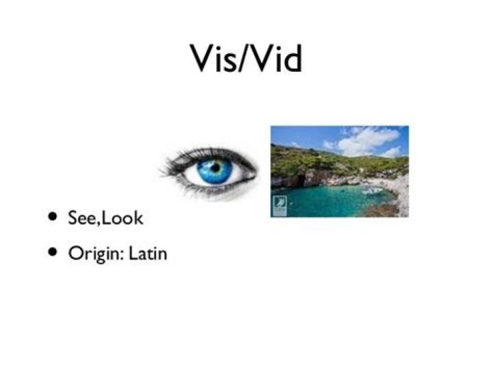 Unveiling The Meaning Of The Latin Root 