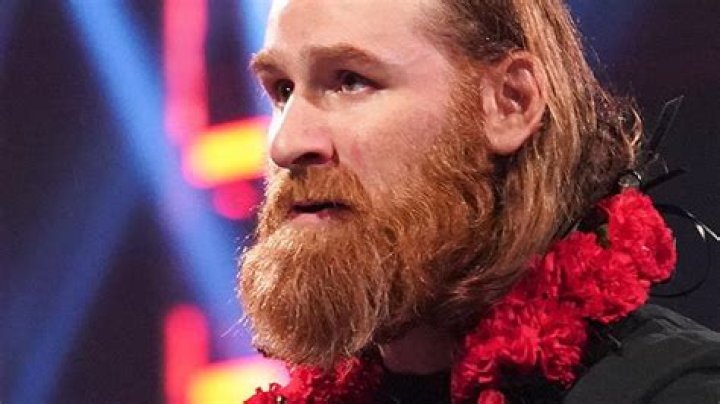 Unveiling Sami Zayn's Net Worth: Discoveries And Insights