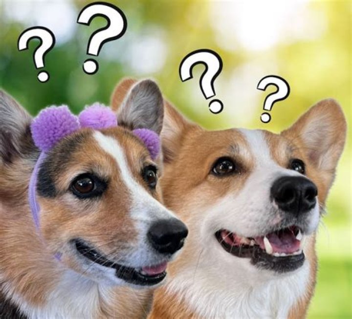 Uncovering Truths Behind 