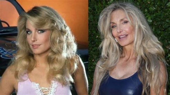 Uncover The Enigmatic 